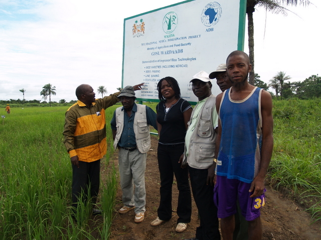 development projects in sierra leone