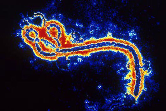 Fighting_Ebola