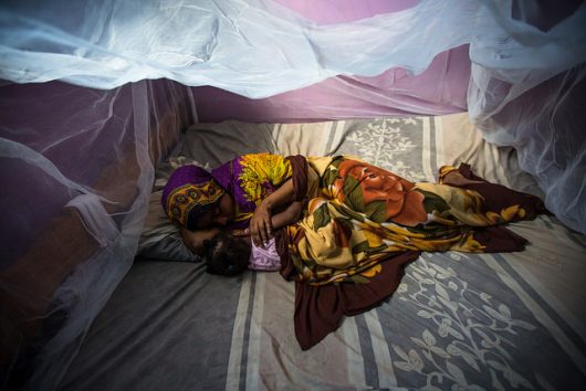 eliminating malaria
