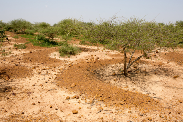 Environmental Solutions to Poverty