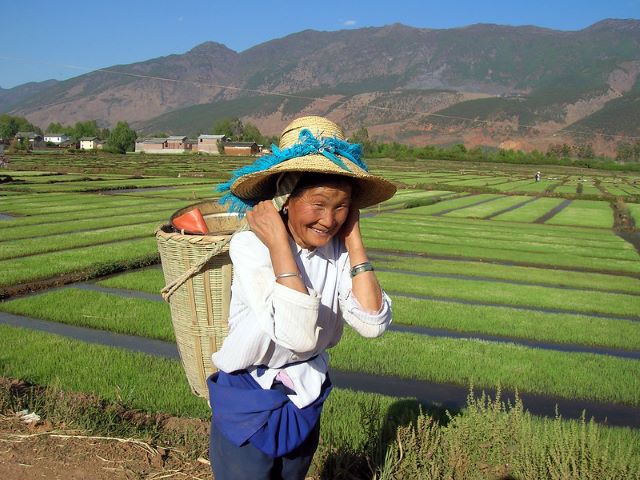eradicating rural poverty