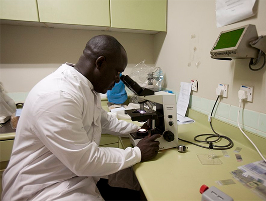 eradicating_malaria