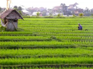 ethical impact investing