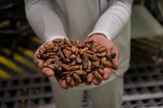 fair trade coffee in Colombia
