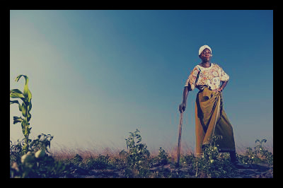 farmer