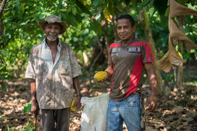 farmworker rights