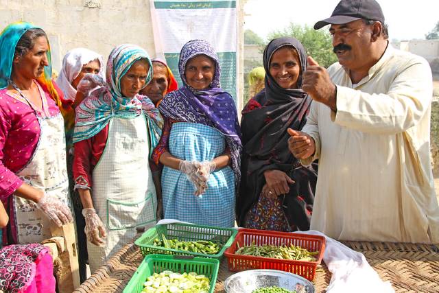 female labor in Pakistan