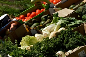 Health Equity in South Africa