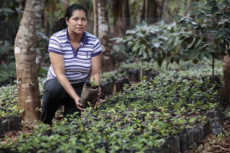 food safety in el salvador