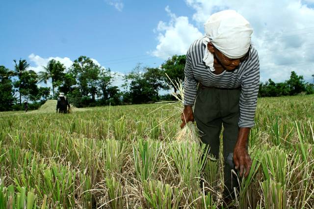 food security across Asia