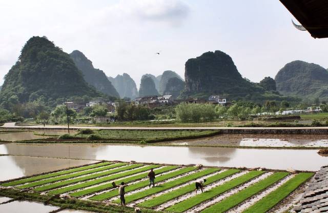 food security in China