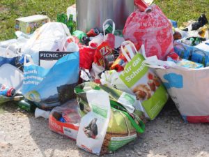 food waste and global hunger