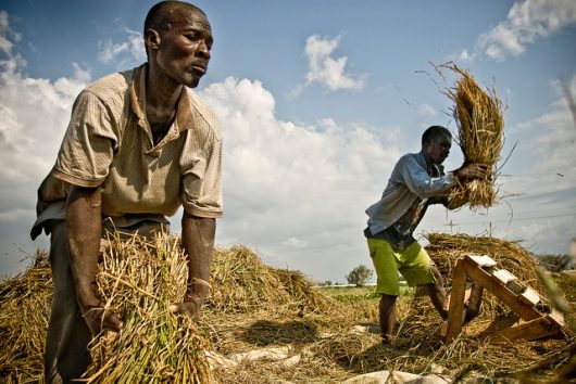 food insecurity in Haiti