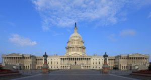 fourngoadvocacygroups