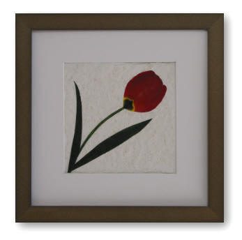 framed-red-tulip
