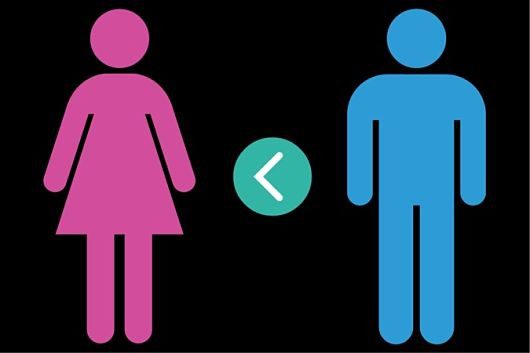 gender_equality_programs