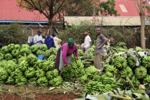 good news about sub-saharan africa