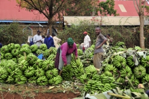 good news about sub-saharan africa