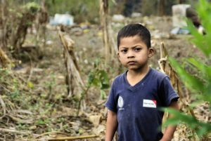 What Causes Stunting