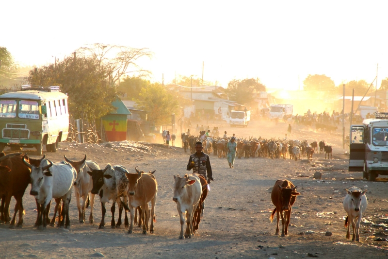 Ethiopian Mental Health