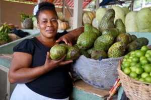 Food Insecurity in Haiti