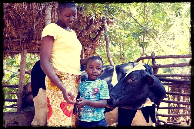 heifer international mother's day gift