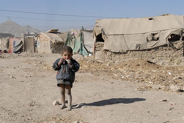 helping refugees find answers
