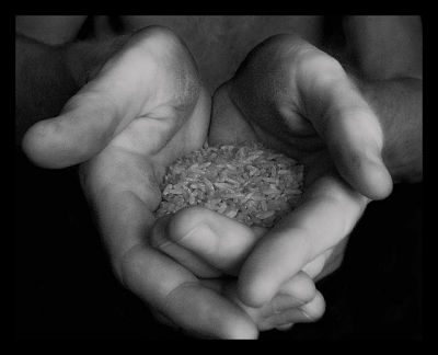 hunger_in_africa