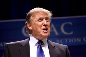 immigration proposal