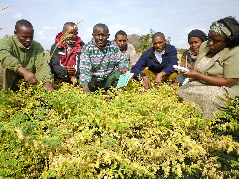 improving food security in Africa