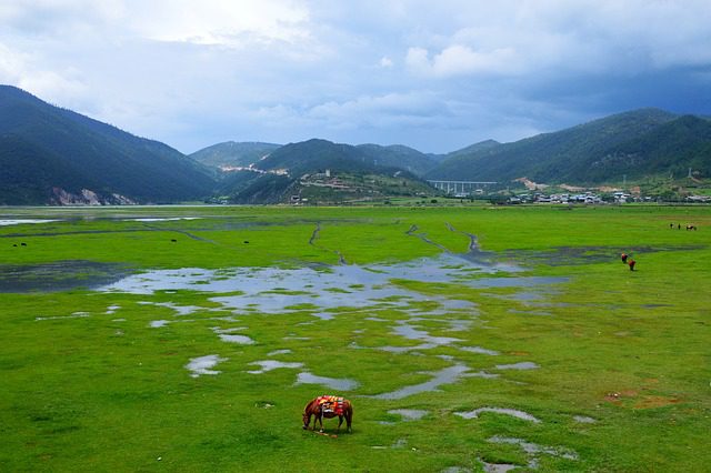 Poverty in Southwest China