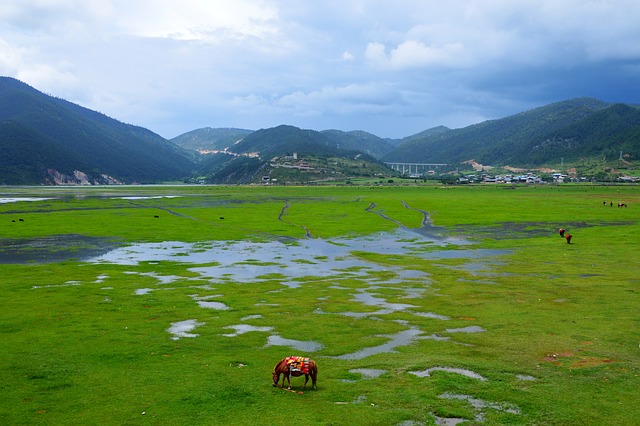 Poverty in Southwest China