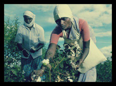IKEA Plans to Only Use Sustainable Cotton