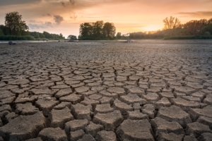 India's current drought