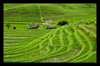 indonesia's infrastructure
