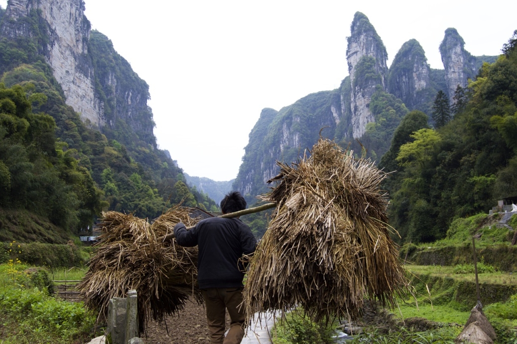 inequality in china