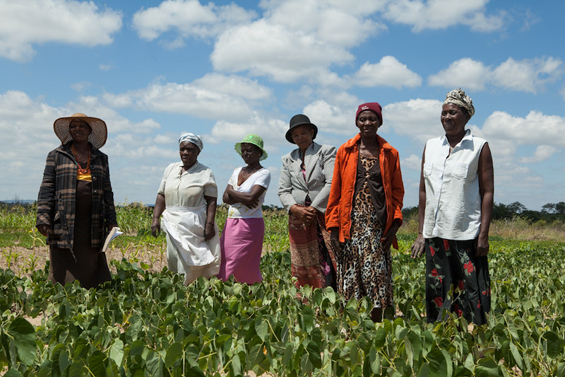 innovations in poverty eradication in zimbabwe