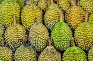 Durian Fruit Will Transform Electricity