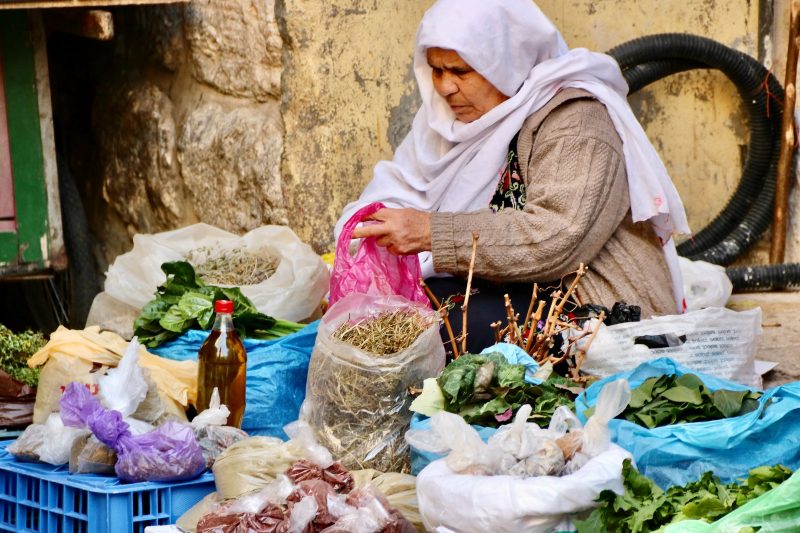 Gender Wage Gap in Palestine  
