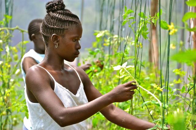 land rights for women