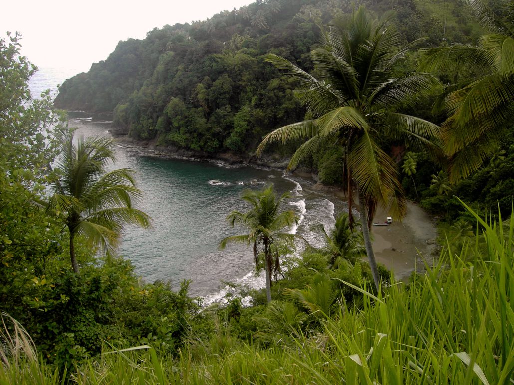 Living Conditions in Dominica