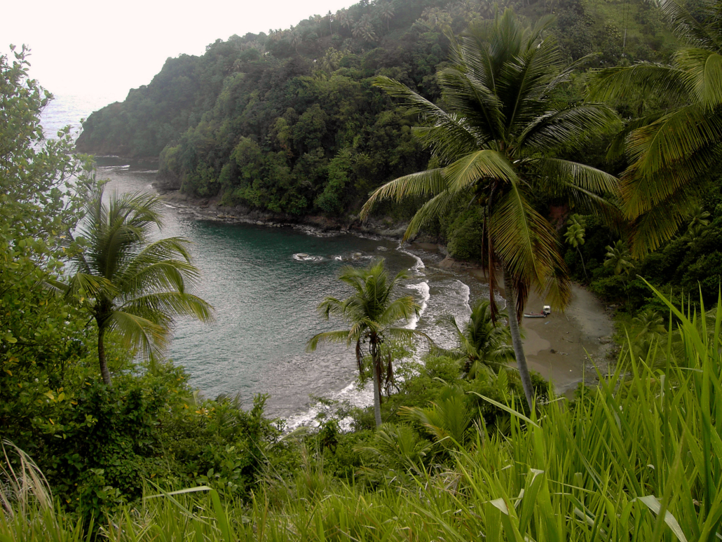 Living Conditions in Dominica