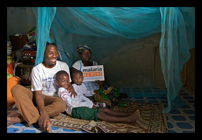 malaria no more