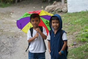 The prevention of malnutrition and IDA in the Philippines