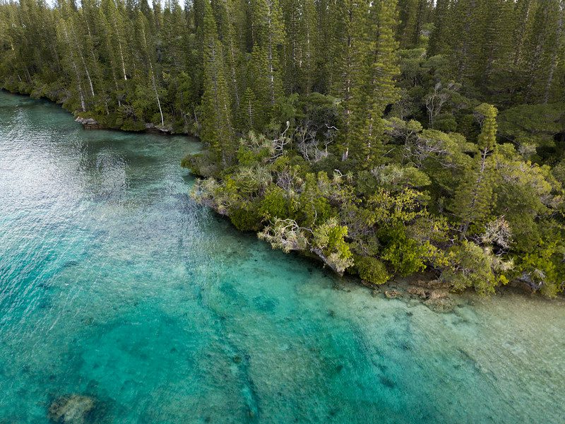malnutrition in new caledonia