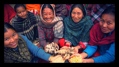 millenium-development-goals-value