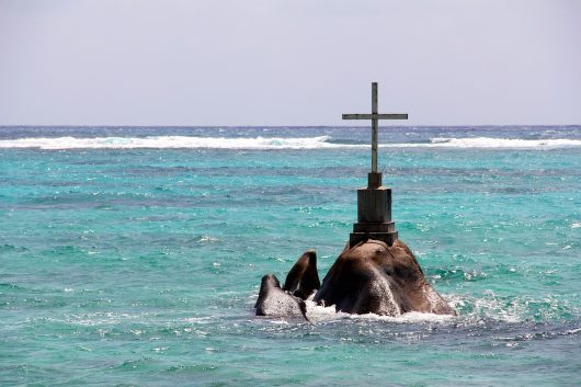 Common Diseases in Seychelles 