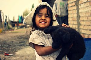 Pets in Poverty