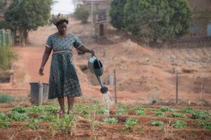 Poverty Eradication in Benin
