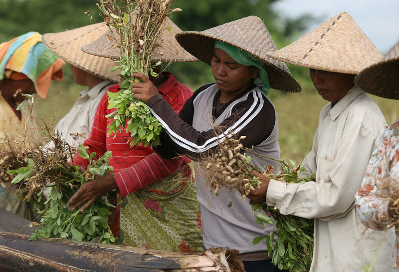 poverty eradication in Indonesia